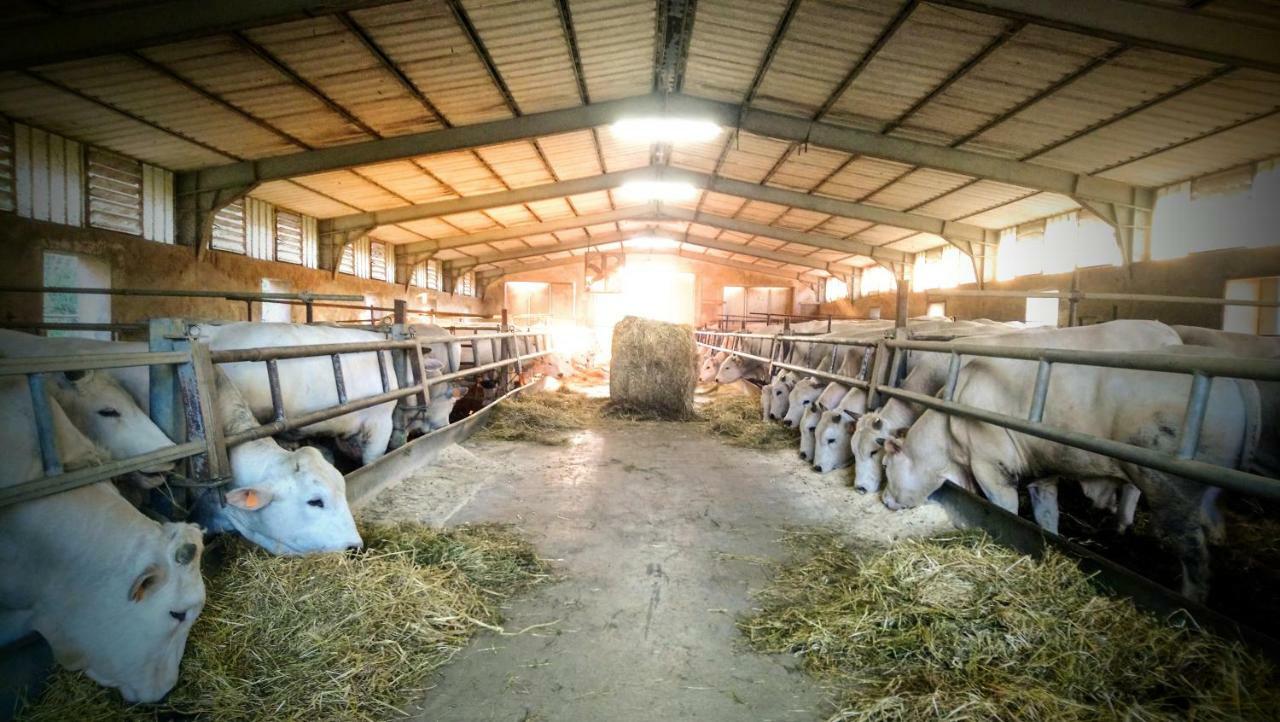 Agriturismo Casa Rossa Chianciano Terme Buitenkant foto